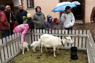 1c_zamek Potstejn_akce.jpg