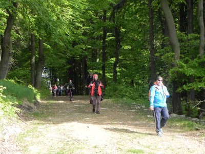 2_Fit Resort Bukova hora_baby trasa.JPG