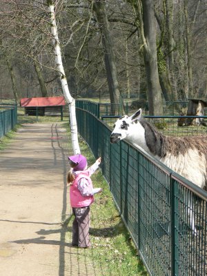 3_Castolovice_zverinec_deti 1.JPG