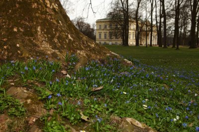 4b_Novy Zamek_Kostelec n O_park 1.JPG