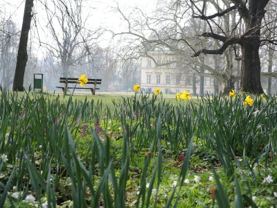 4b_Novy Zamek_Kostelec n O_park 3.JPG
