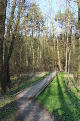 7_lanskrounske rybniky_bezecke okruhy 2.jpg