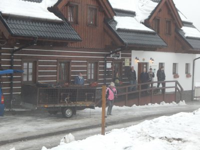 7_psi sprezeni na Kozim chlivku 5.JPG