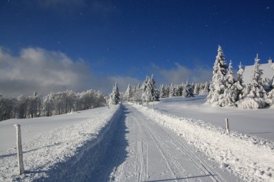 Beck trat pod erlichem.jpg