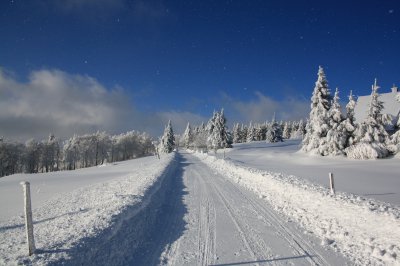 Bezecka trat pod Serlichem.jpg