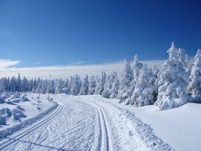 Bezecka trat_hrebenovka 1.jpg