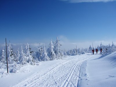 Bezecka trat_hrebenovka 3.jpg