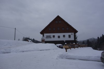 DSC00385.jpg