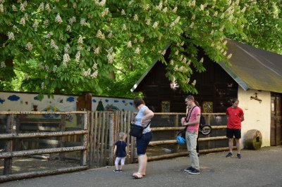DSC_0295.JPG
