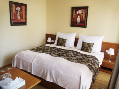 HOTEL TVRZ ORLICE_pokoj standard.jpg