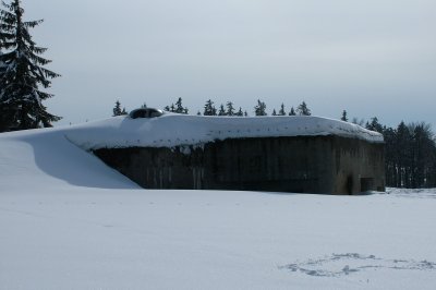 Hanika.jpg