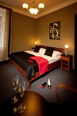 Hotel Havel_pokoj Deluxe 1.jpeg
