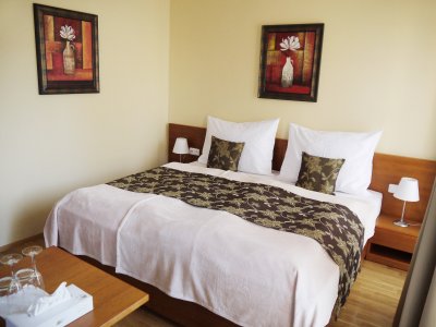 Hotel Tvrz Orlice_pokoj standard_02-1.jpg