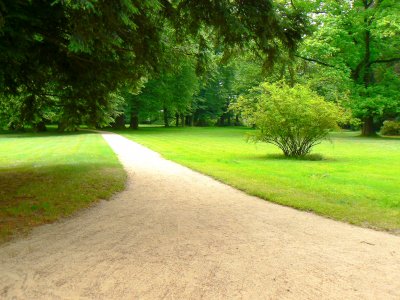 Novy Zamek_park.JPG