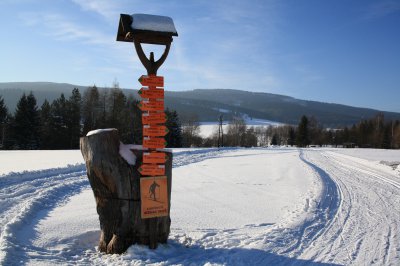 Orlicke Zahori_bezecke trate.jpg
