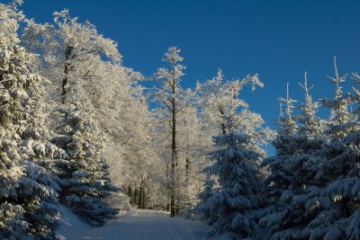 Orlicke hory_foto Martin Vojta 1.jpg