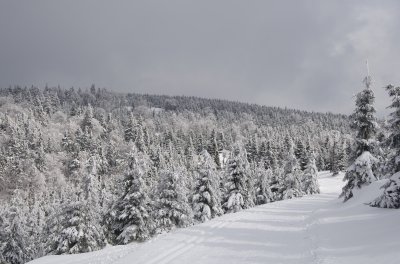 Orlicke hory_foto Martin Vojta 22.JPG