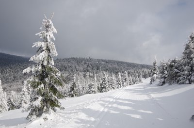 Orlicke hory_foto Martin Vojta 24.JPG