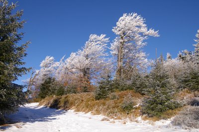 Orlicke hory_foto Martin Vojta 29.jpg