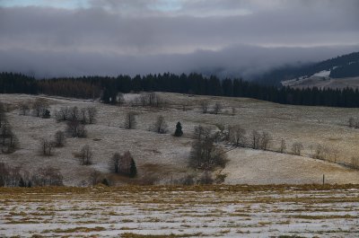 Orlicke hory_foto Martin Vojta 30.jpg