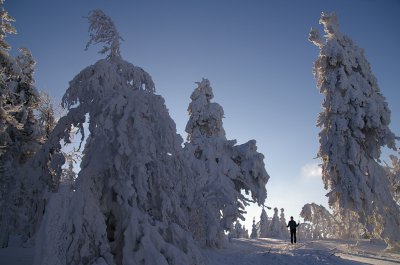 Orlicke hory_foto Martin Vojta 32.jpg