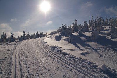 Orlicke hory_foto Martin Vojta 35.jpg