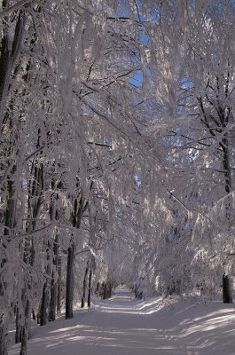 Orlicke hory_foto Martin Vojta 38.jpg