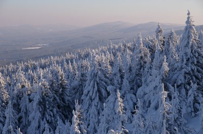 Orlicke hory_foto Martin Vojta 40.jpg