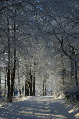 Orlicke hory_foto Martin Vojta 5.jpg