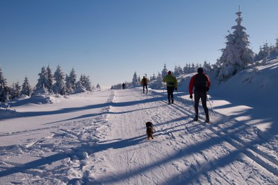Orlicke hory_lyzari_foto Martin Vojta 12.jpg
