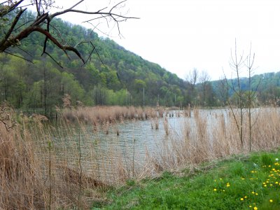 Pansky rybnik u Perne_cyklostezka Usti-Chocen.JPG