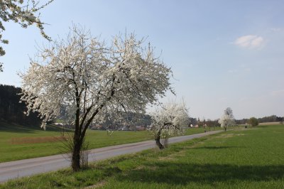 Podorlicko_jarni krajinka-1.jpg