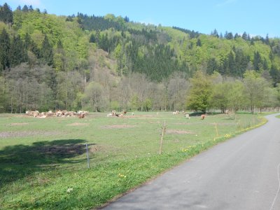 cyklostezka Usti-Chocen 10.JPG