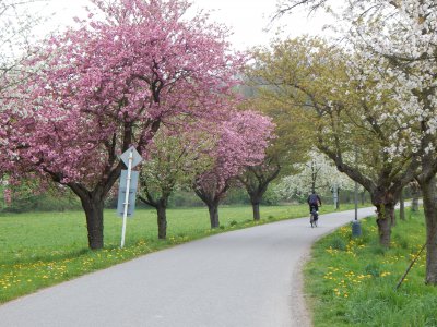 cyklostezka Usti-Chocen_prijezd do Chocne.JPG