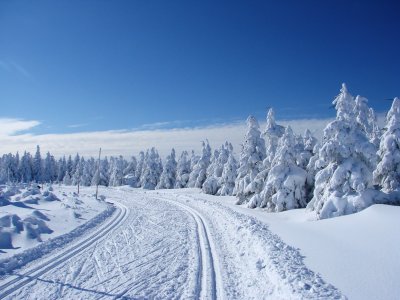 krajina_stopa.jpg
