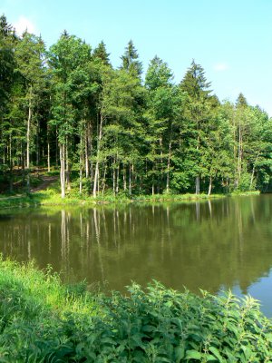 lanskrounske rybniky 8.JPG