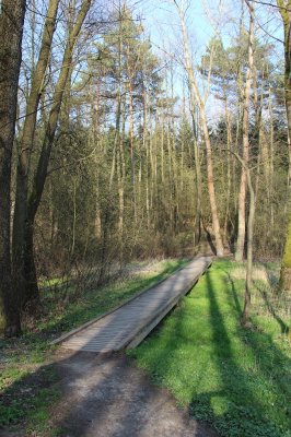lanskrounske rybniky_bezecke okruhy 2.jpg