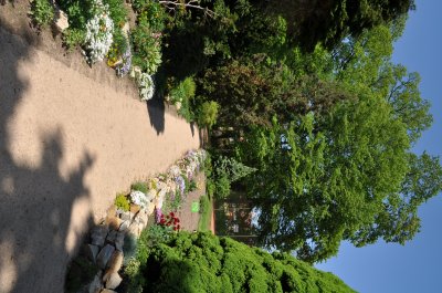 park_rozkvetly.JPG