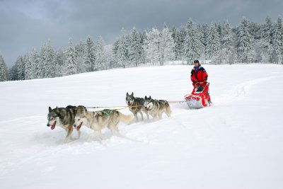 sedivackuv-long-2.jpg