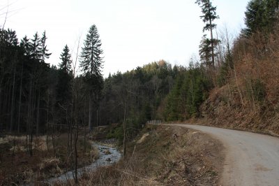 udoli Moravske Sazavy 1.JPG