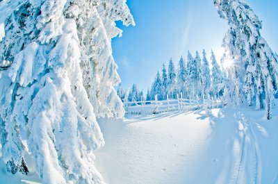 zimni priroda_Orlicke hory_Petr Prouza-1.jpg